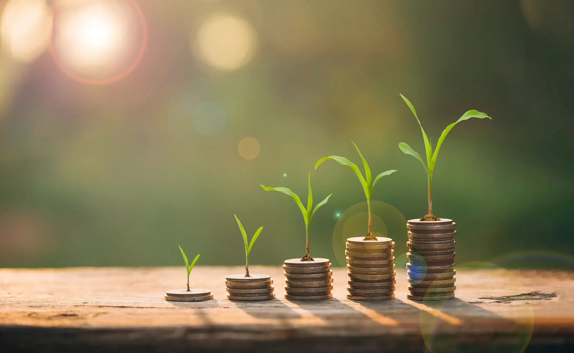 Savings plant and coins