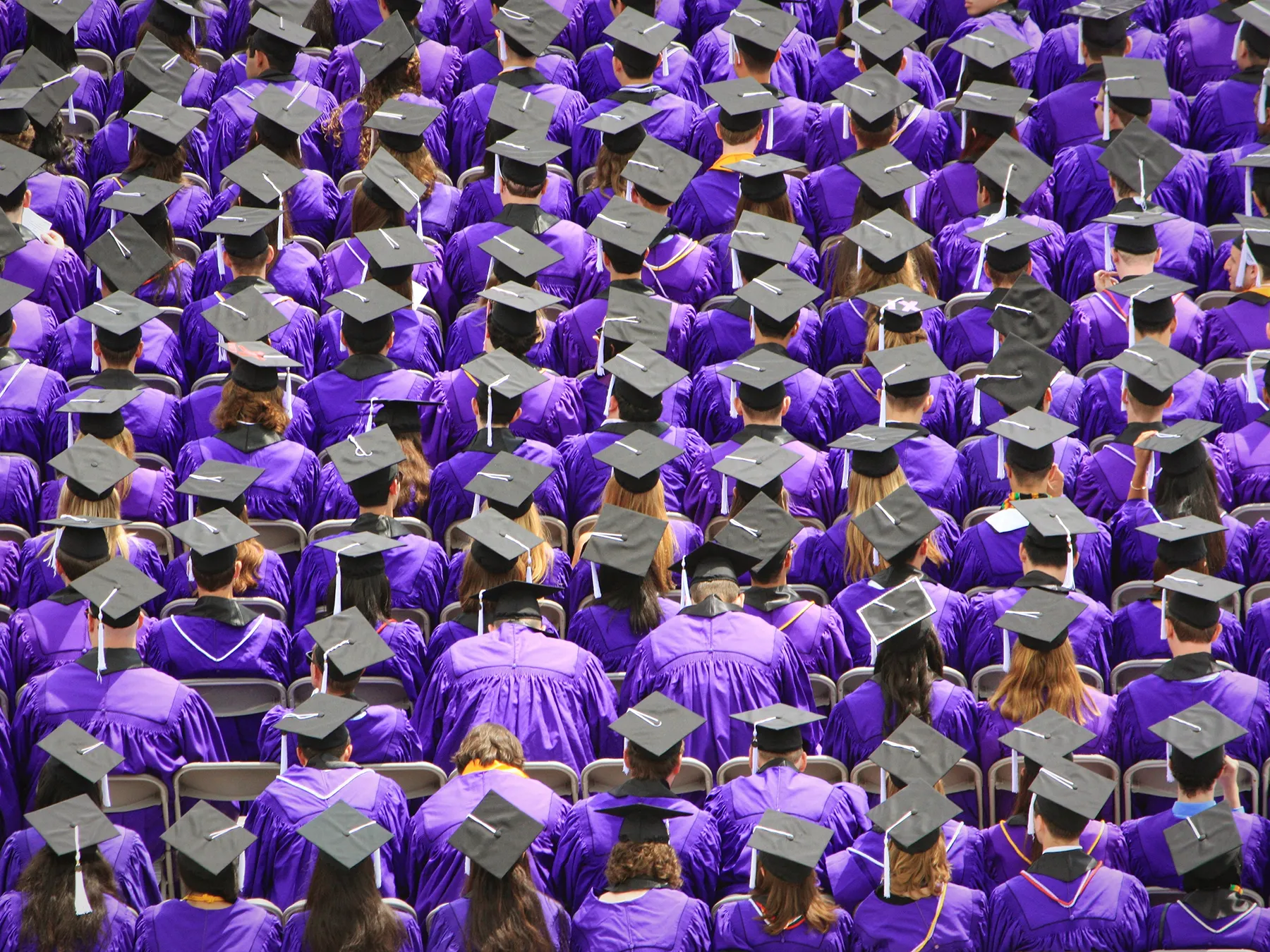 Purple graduation copy