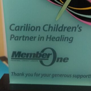 Member One Carilion Partner in Healing 4610f906315a3c6fb23e23093df7dca8