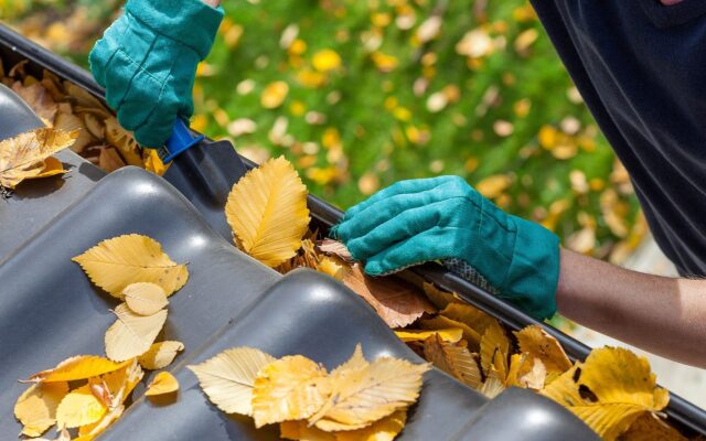 Leaves Gutter 978b8d064138018a1dfad71b9882dd21